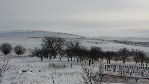 efemproje alayhan arazi çalışmaları